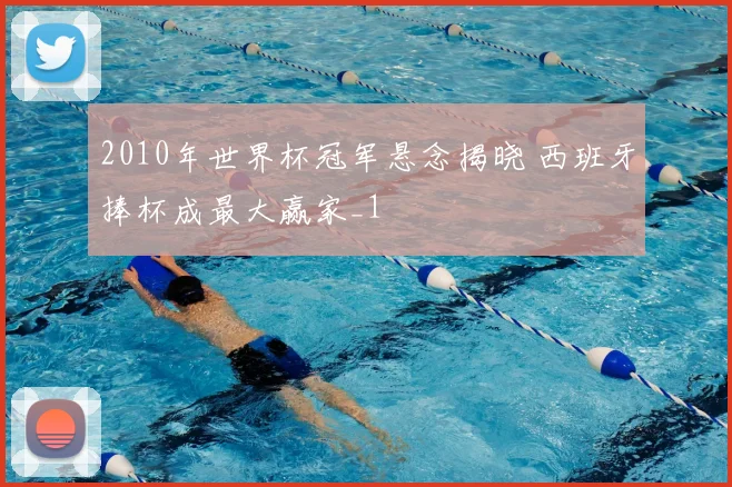2010年世界杯冠军悬念揭晓 西班牙捧杯成最大赢家_1
